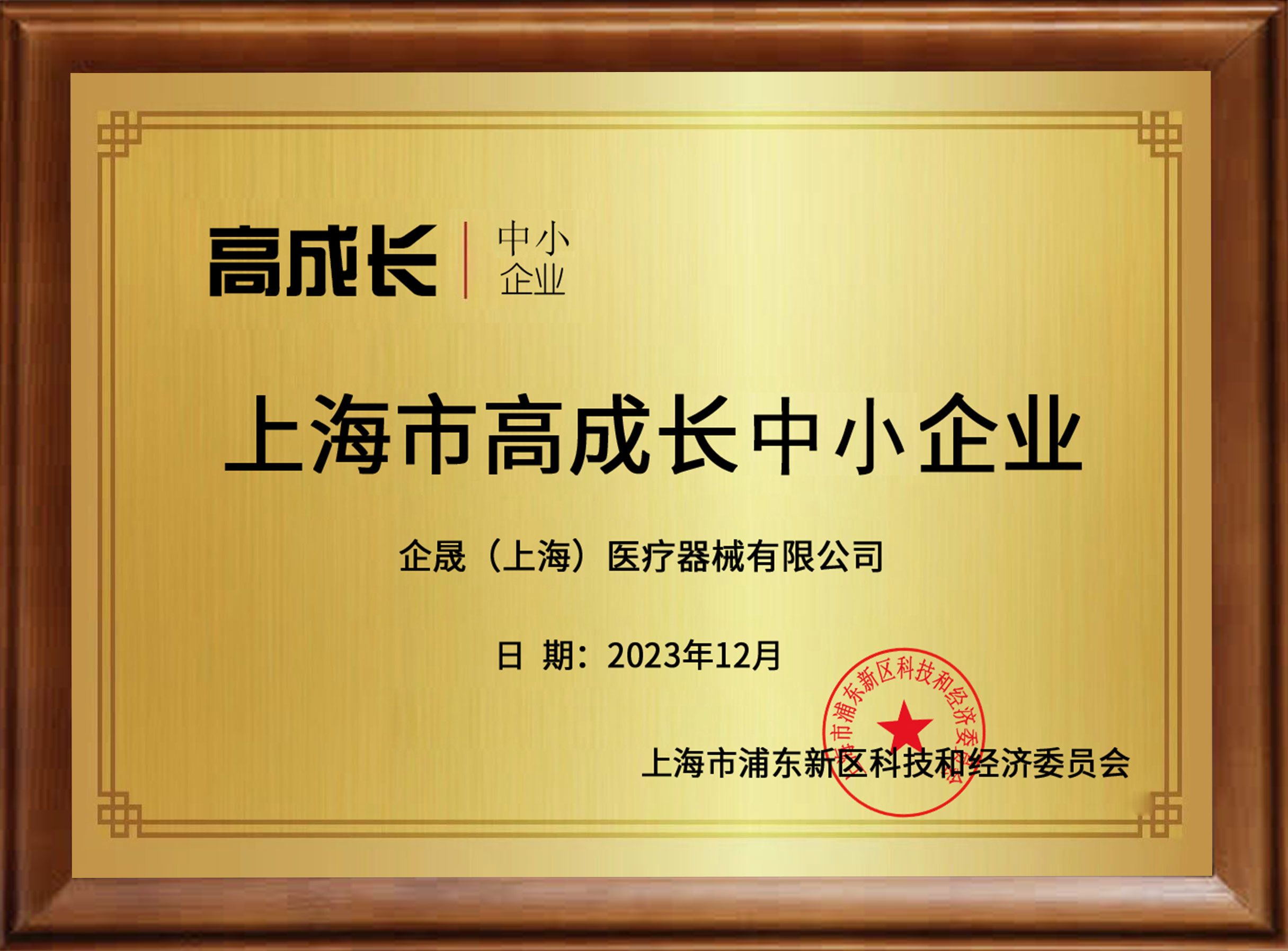 上海市高成长中小企业