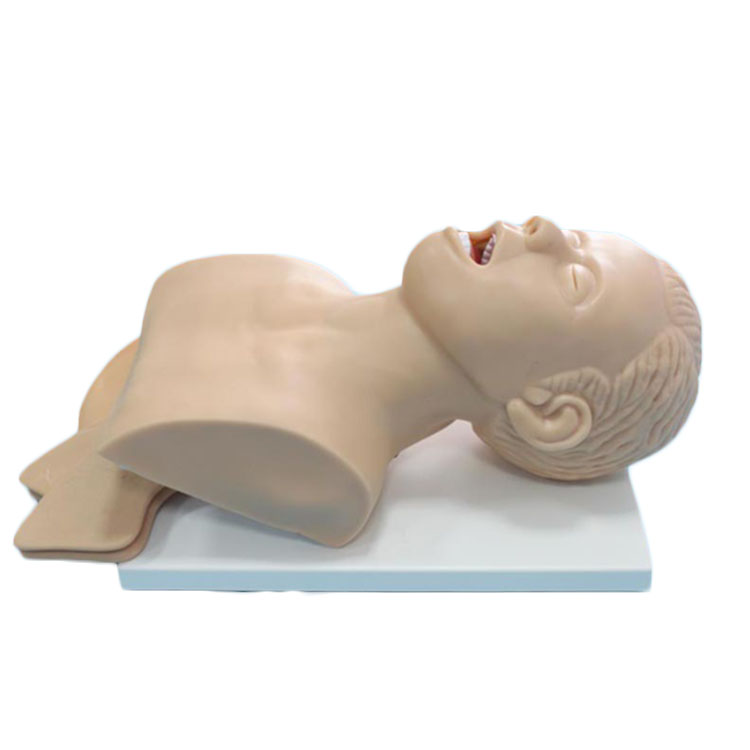 艾米立 电子人体气管插管训练模型 IMY2036 艾米立 电子人体气管插管训练模型 IMY2036